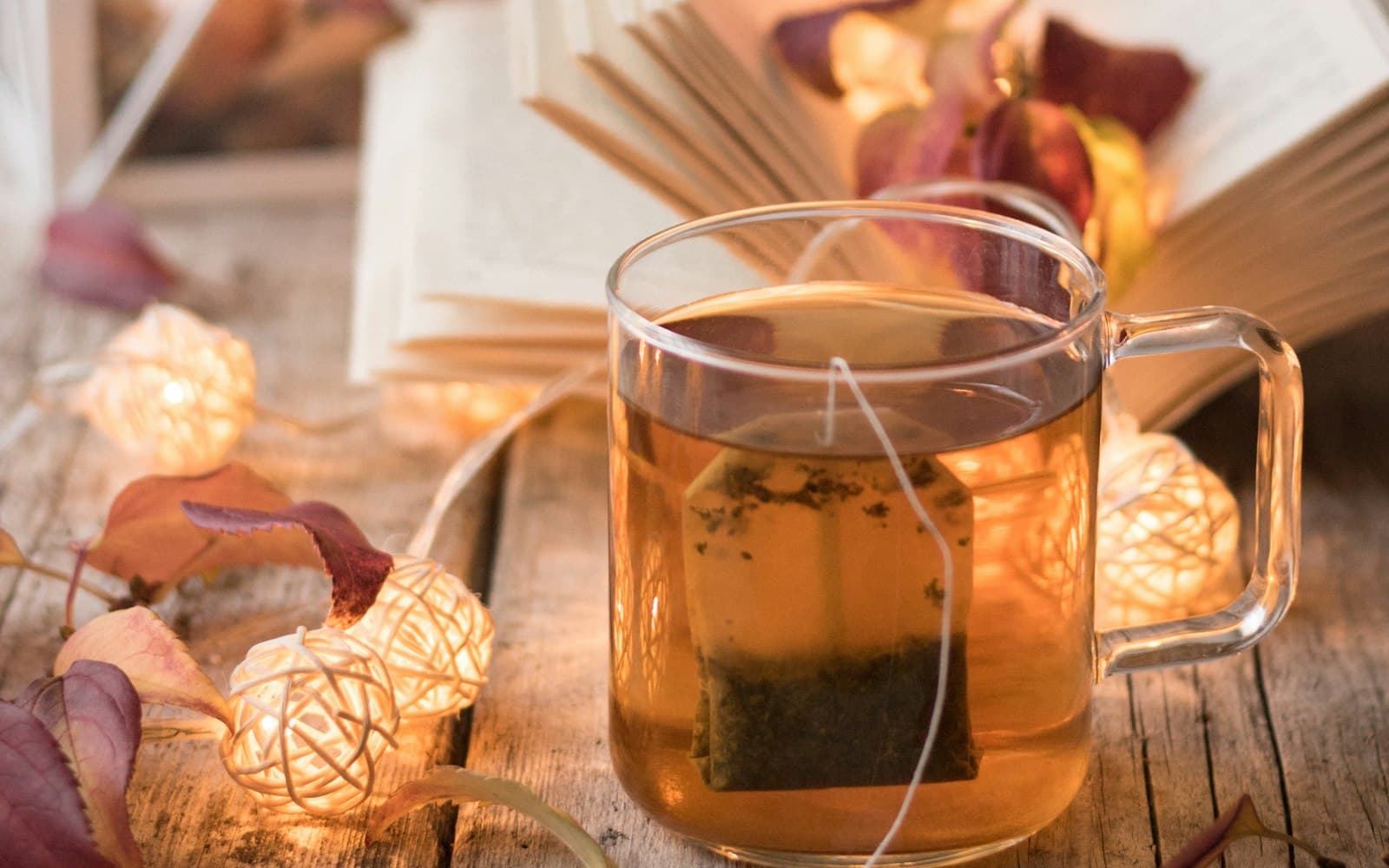 The Complete Wellness Guide